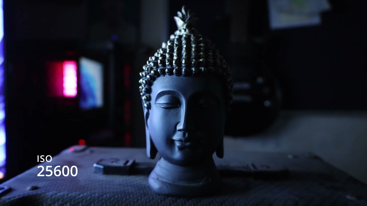 Canon EOS R8 | Low-Light Video ISO Test