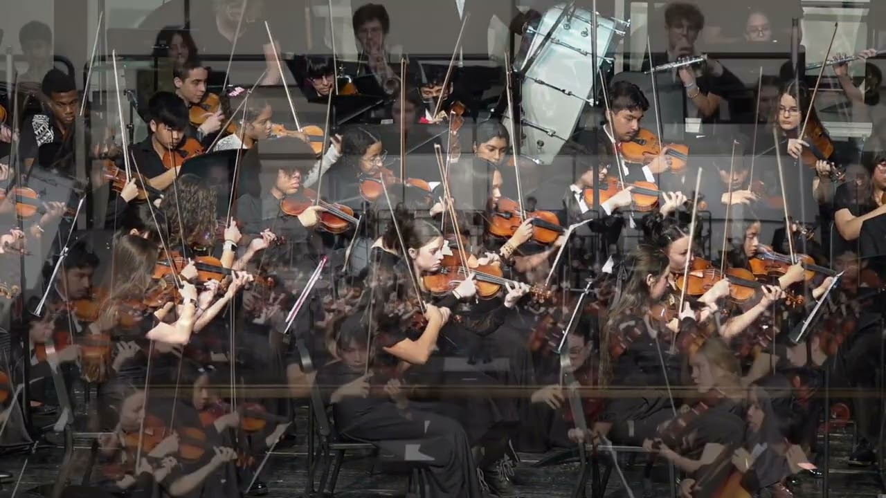 2025 PWCS All County High School Orchestra