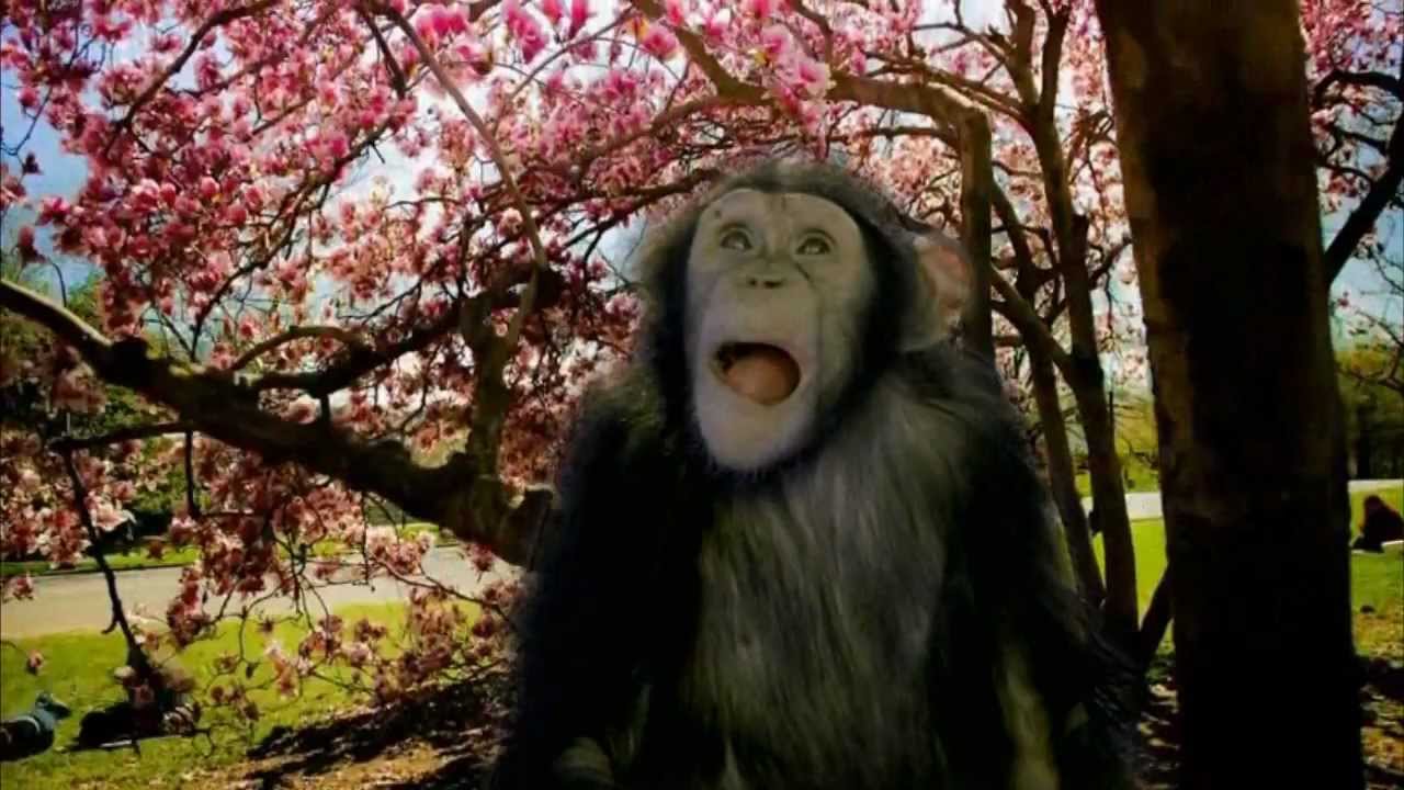 DOM DUMMASTE : LIPSILL : 泣き虫 (2013) - ELEKTRO SLAYER VERSION