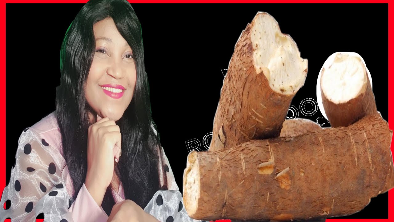 LE MANIOC ! peu de gens connaissent les pouvoirs m&eacute;dicaux de cette tubercule, vous serez choqu&eacute;s !