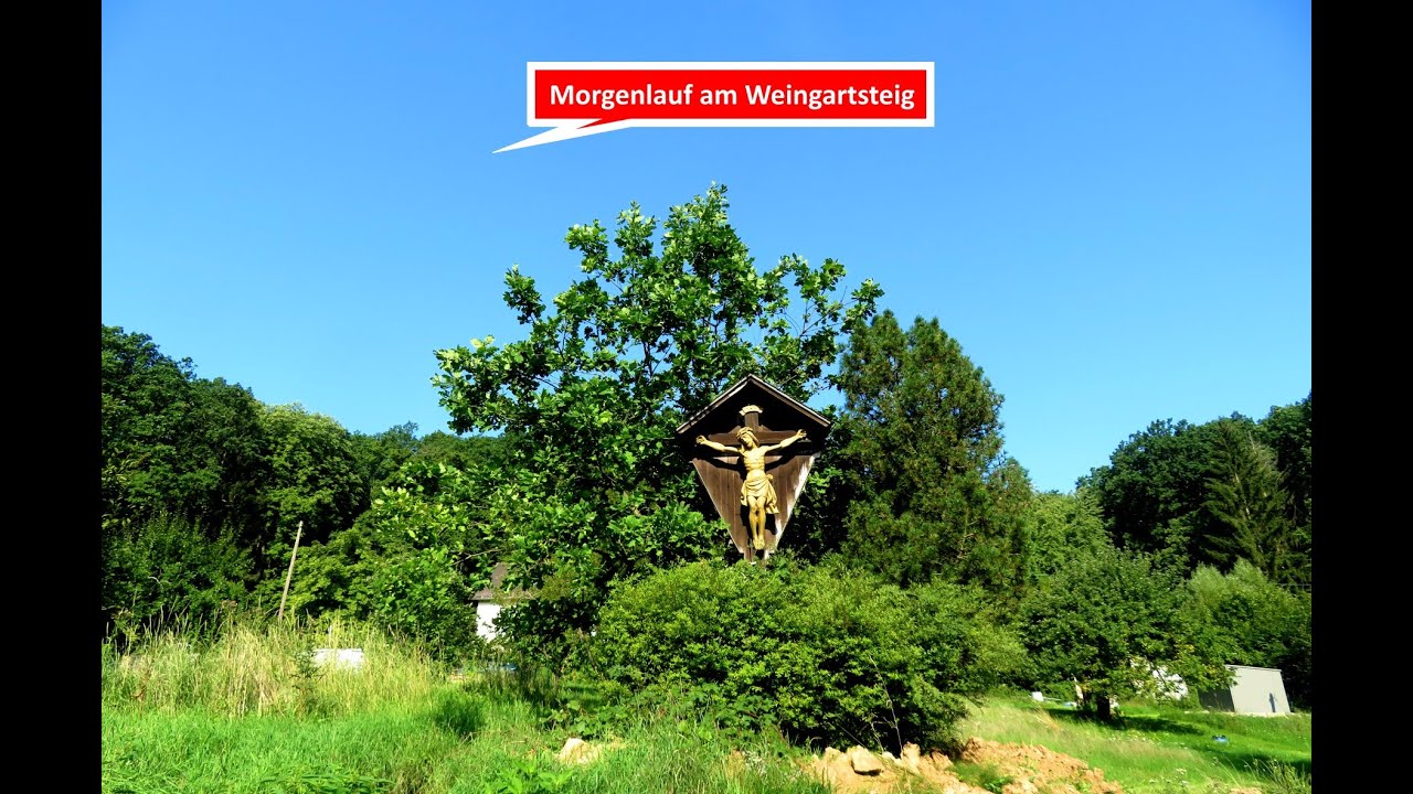 Morgenlauf am Weingartsteig bei Forchheim und in den W&auml;ldern dahinter am 15.08.23