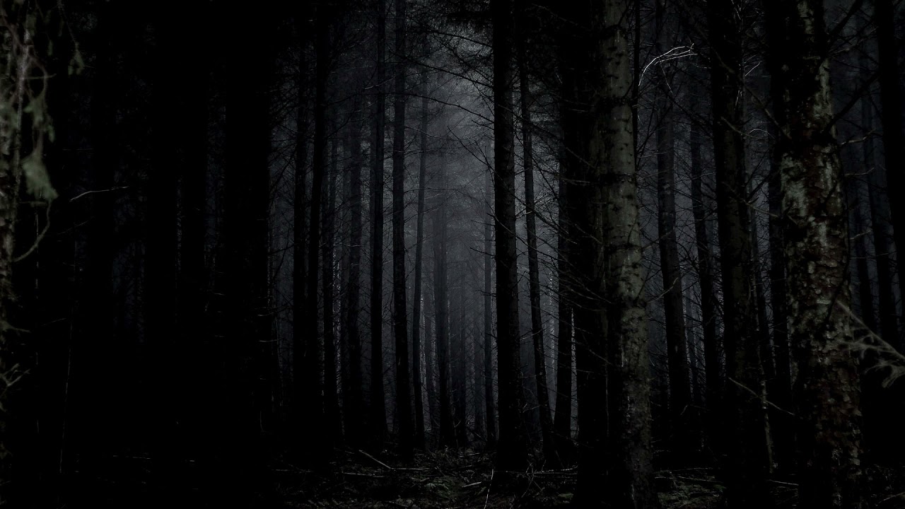 3 HOURS of The Witch Ambience - Dark Gloomy Forest Sound Effect - Immersive Soundscape