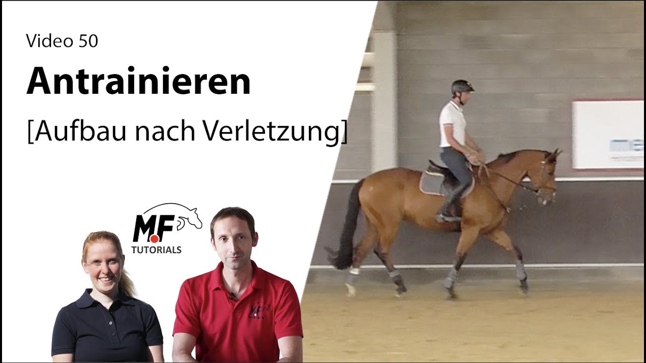 [50] Antrainieren nach einer Verletzung | älteres Pferd | 