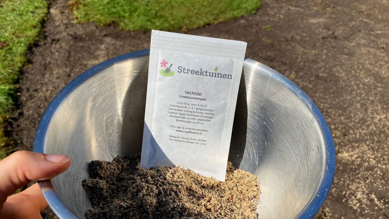 Een streekeigen bloemenweide zaaien, zo kun je dat aanpakken