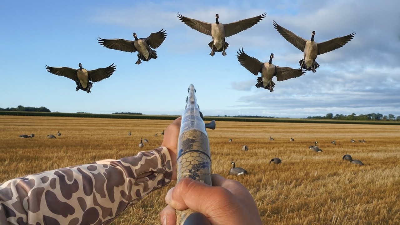 Early Season Goose Hunting with New Technology!