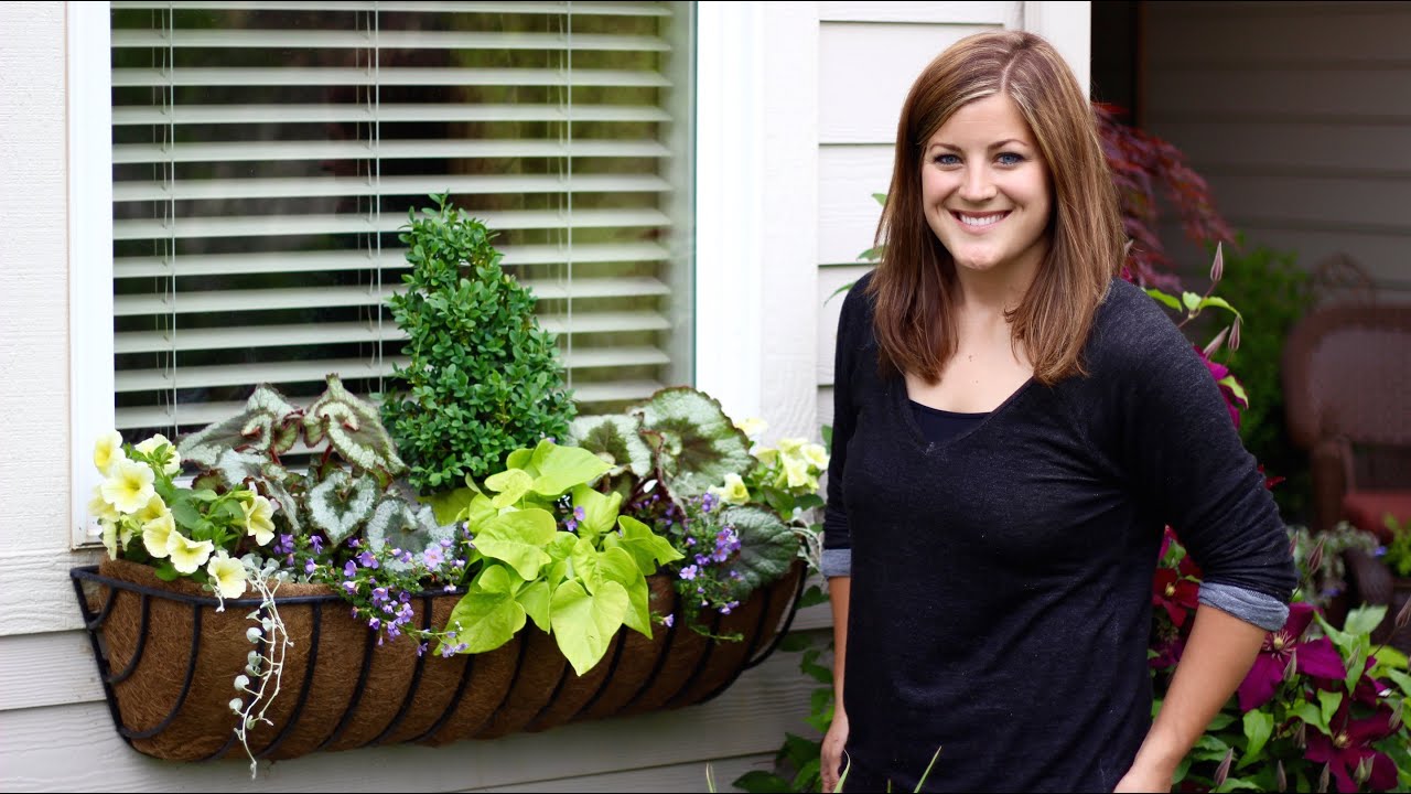 Window Basket Shade Planter