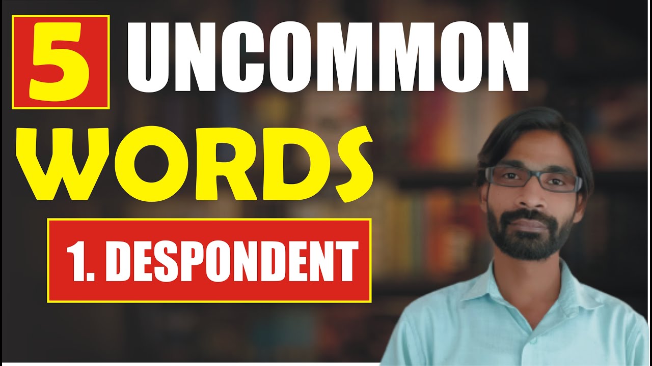 Uncommon Words | English Vocabulary | English Learning Videos | Z Mohammadi