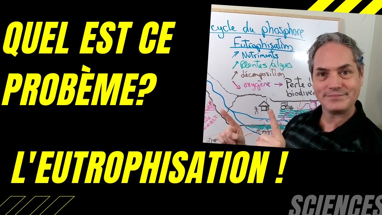 Eutrophisation! - Pourquoi est-ce un problème environnemental?