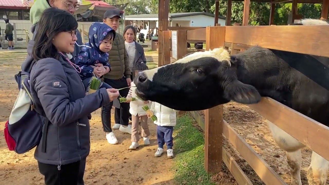 桃園埔心牧場