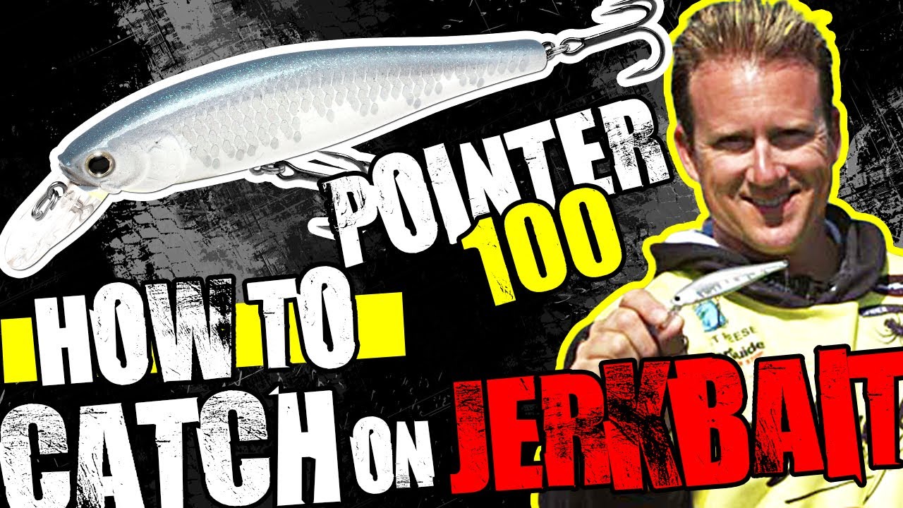 HOW to MASTER POINTER