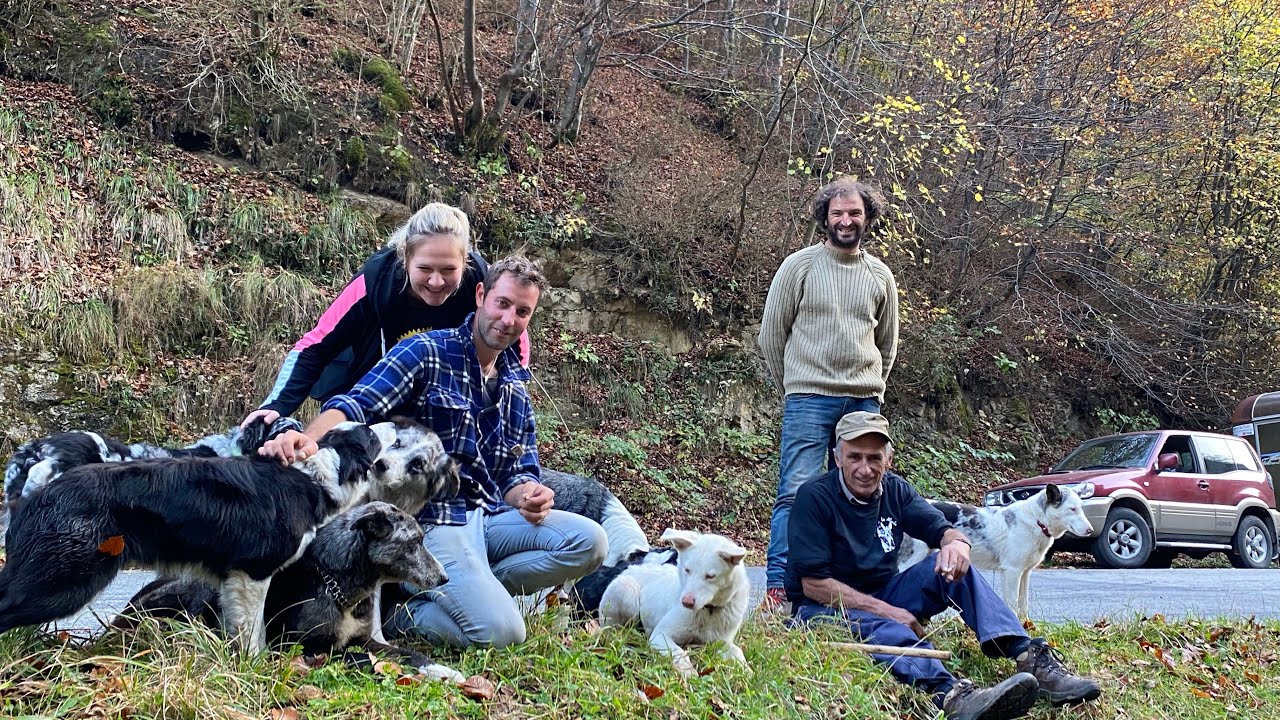 163 gg in alpeggio #transumanza gregge Luca Degio e Ilaria “la bela Bergera”#castelmagno #vallegrana