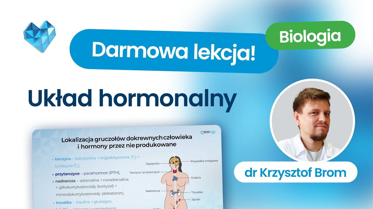 Układ hormonalny – matura biologia 2026+ Kurs maturalny z biologii Biomedica Darmowa lekcja
