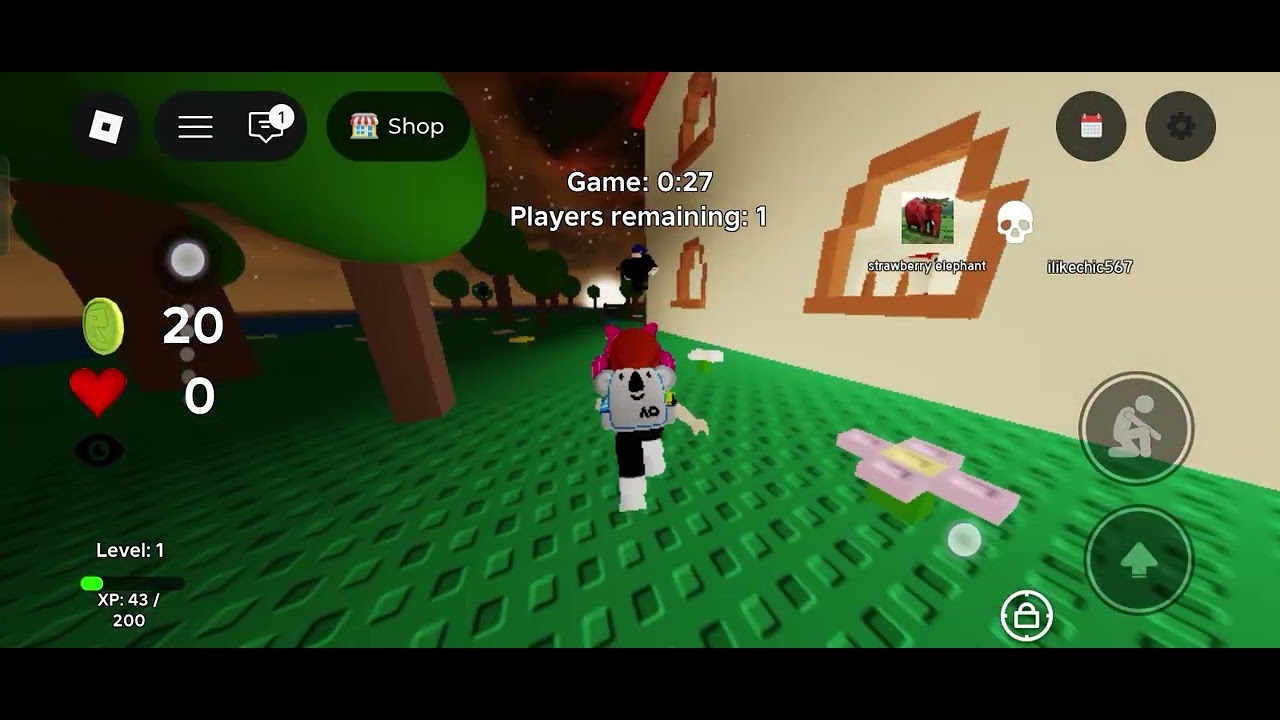 Cat in the game
