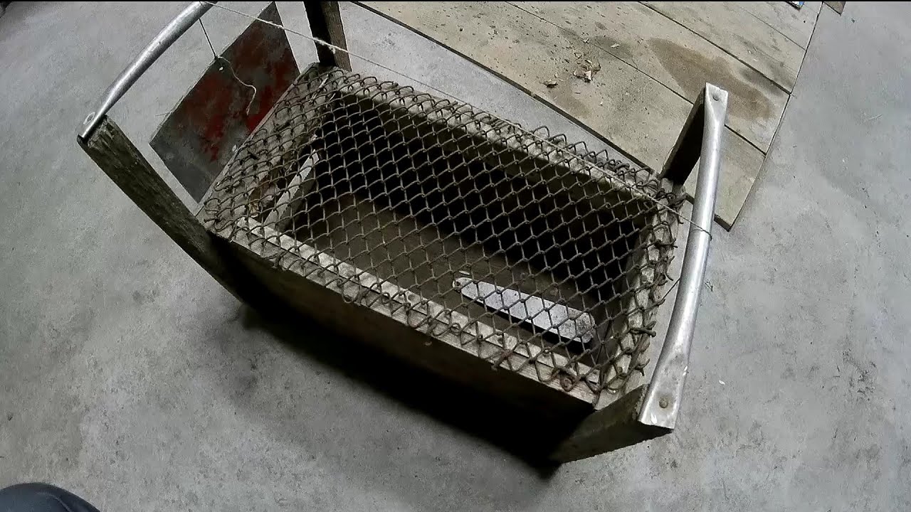 Щуроловка своїми руками,пастка для щурів,ловушка для крыс,homemade rat trap