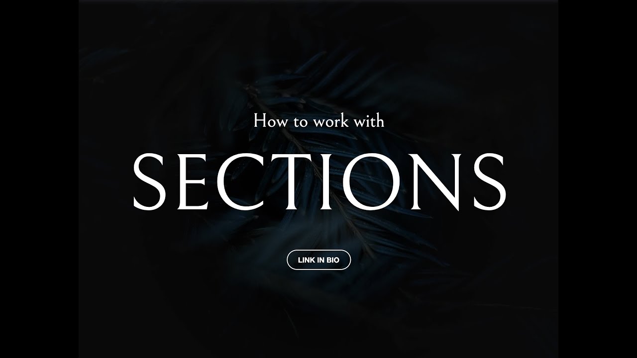 How to work with Sections | Editor X