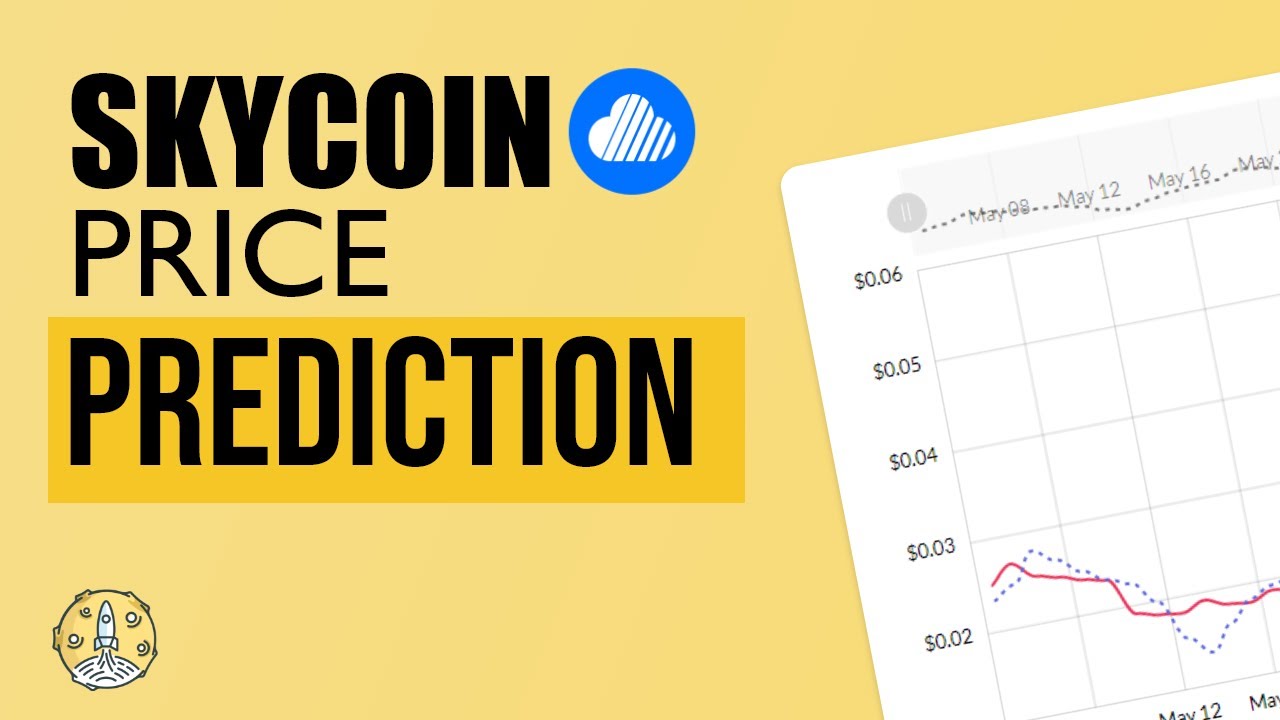 Skycoin (SKY) Price Prediction for the Next Bull Run | The 100X Show