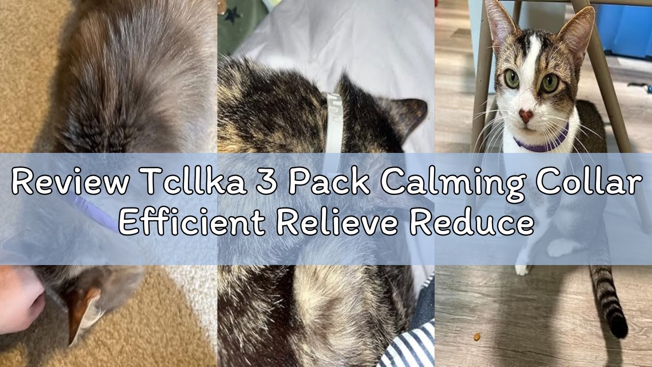 Review Tcllka 3 Pack Calming Collar Efficient Relieve Reduce Anxiety Stress Pheromones Calm Relaxing