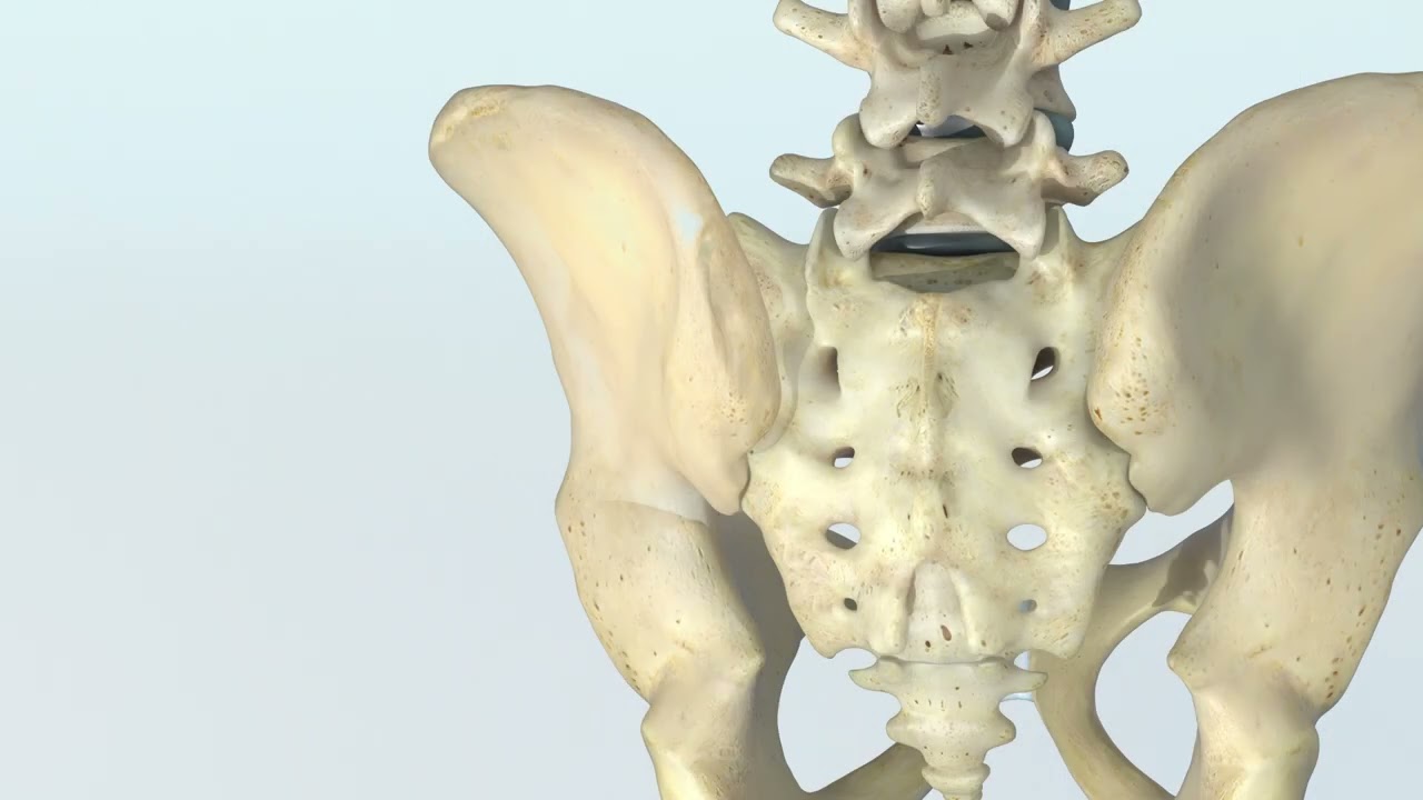 TransLoc 3D&trade; Hybrid SI Joint Fusion | Minimally Invasive Relief for Chronic Back and Leg Pain