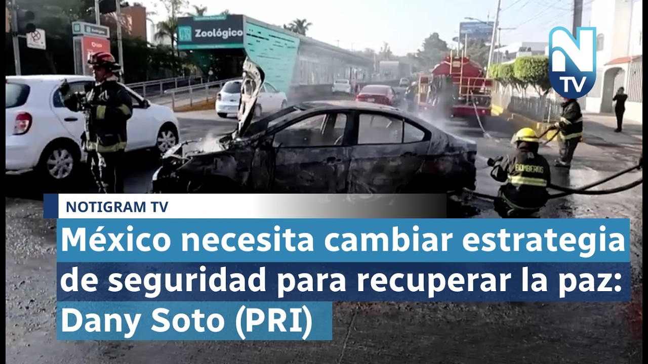 México necesita cambiar estrategia de seguridad para recuperar la paz: Dany Soto (PRI)