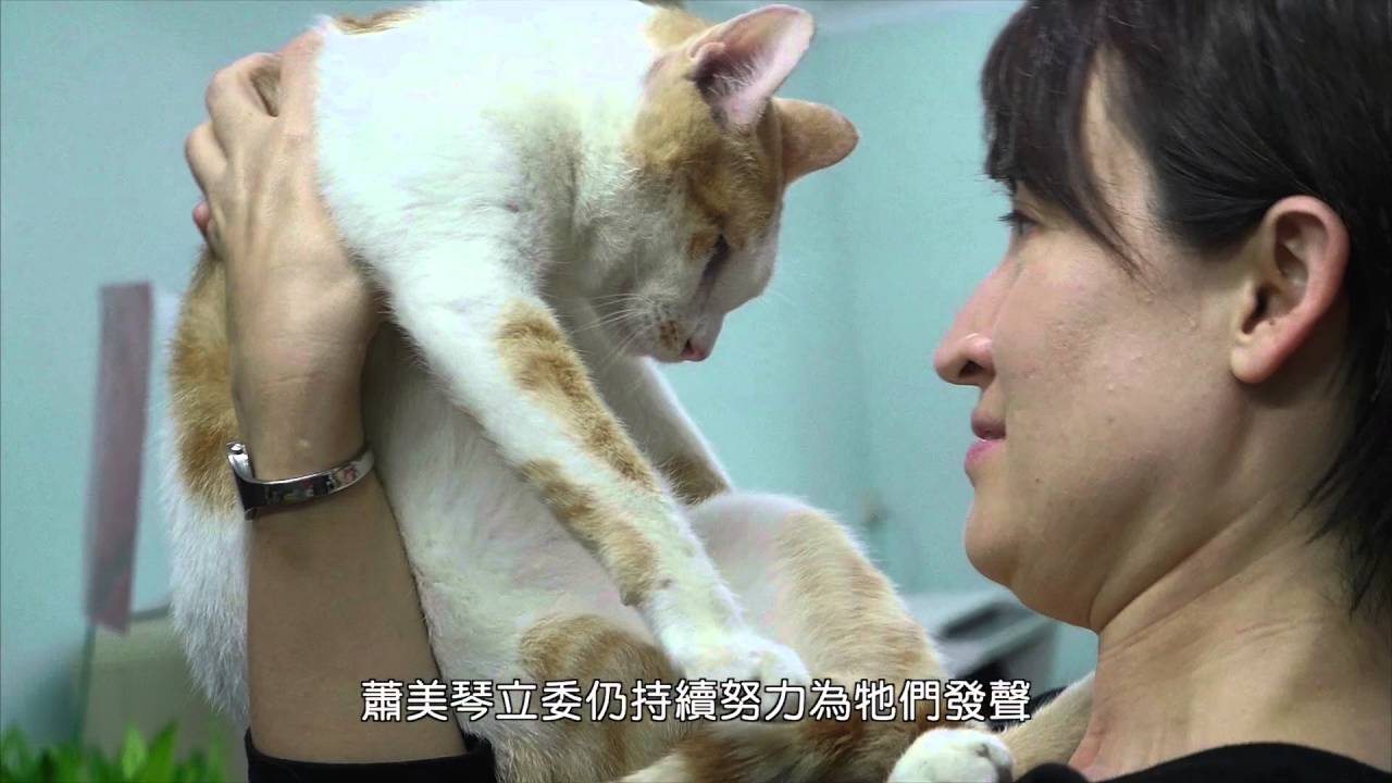 第十三日眾生平等完整版