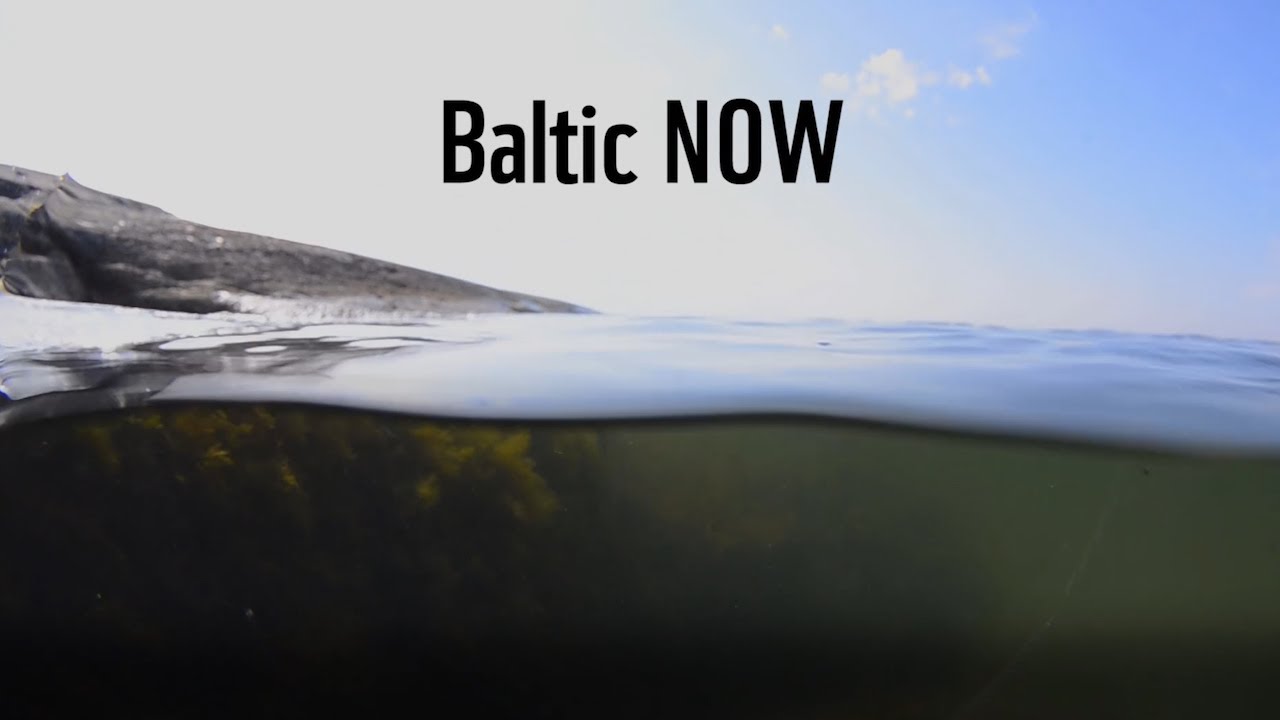WWF Baltic NOW &ndash; S&aring; r&auml;ddar vi &Ouml;stersj&ouml;n