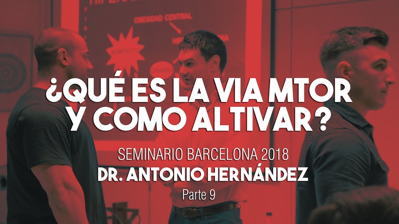 ¿QUE ES LA VIA mTOR Y CÓMO ACTIVARLA? | Seminario Dr. Antonio Hernández Barcelona Parte 9