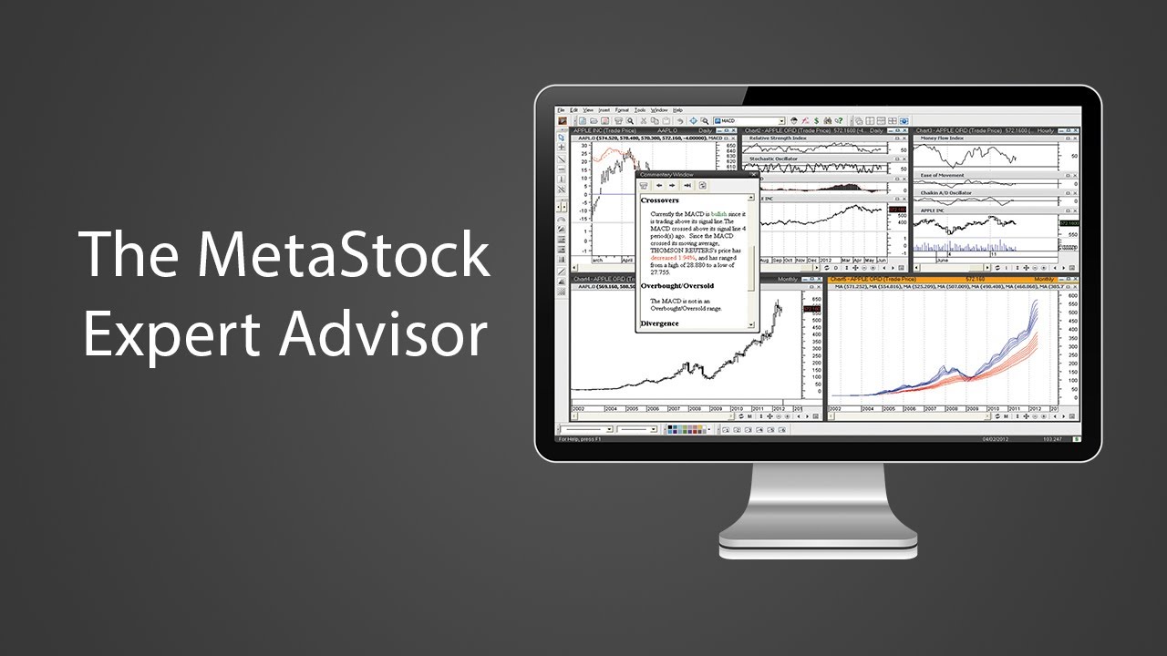 The MetaStock Expert Advisor