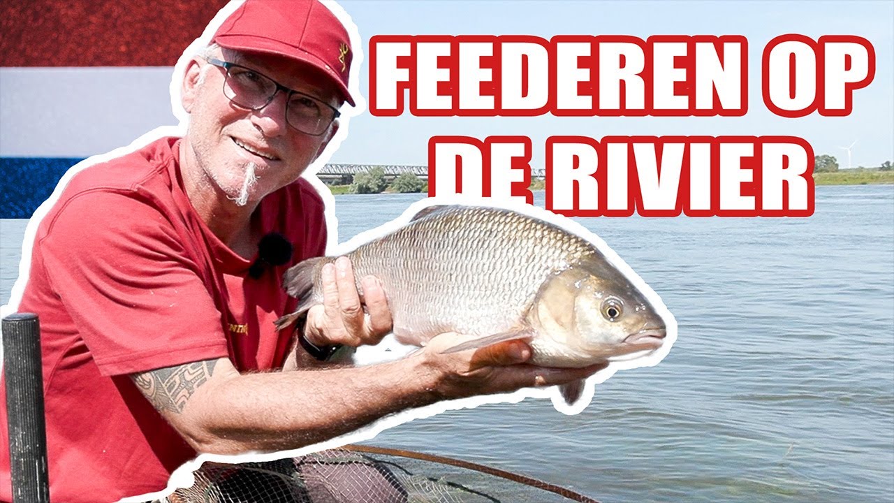 Feederen op de rivier