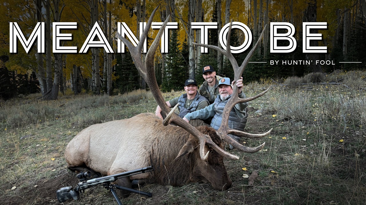 Utah Trophy Muzzleloader Elk Hunt | THE ADVISORS: Meant to Be