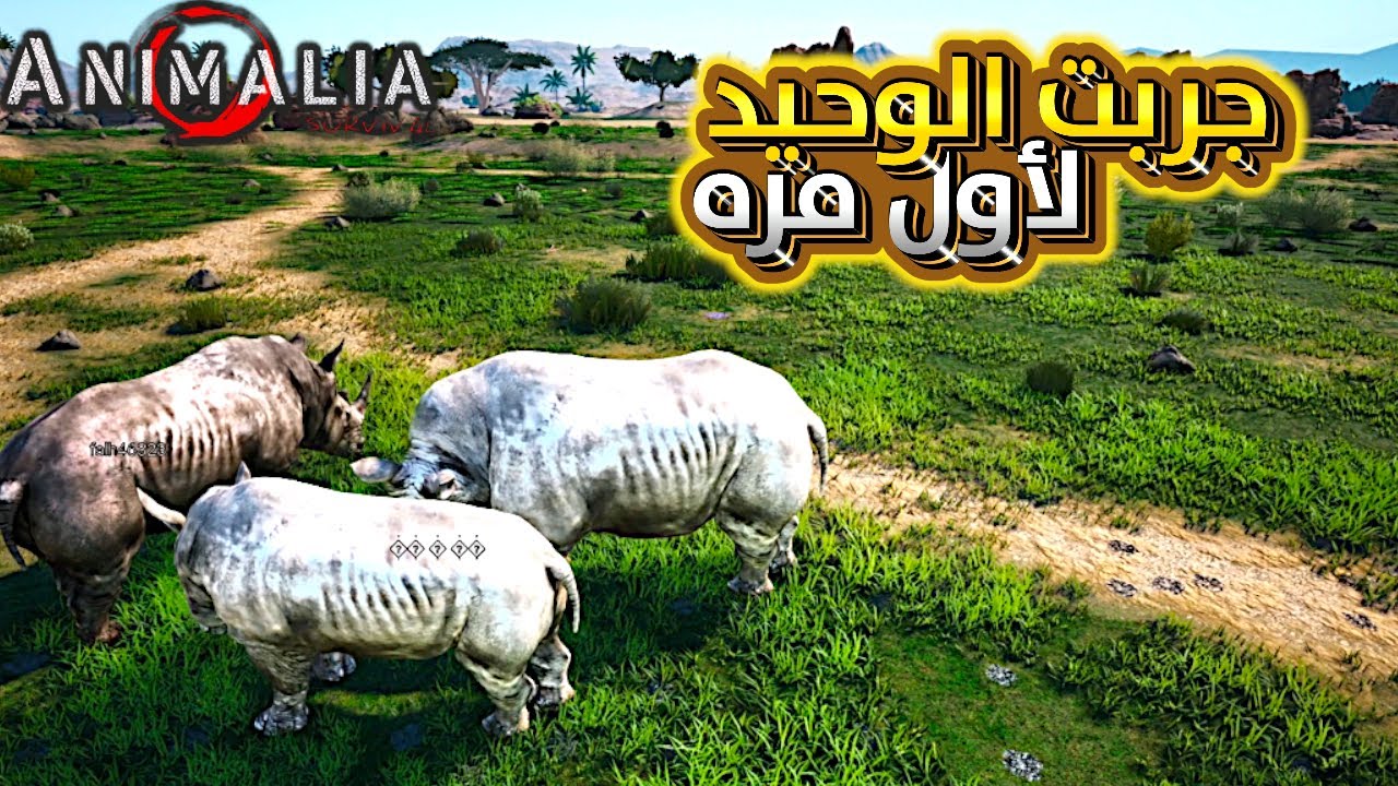 تجربة وحيد القرن لأول مرة 🦏🔥 هل هو أقوى حيوان؟ | Animalia Survival