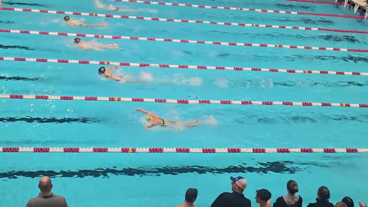 Conf 100 fly