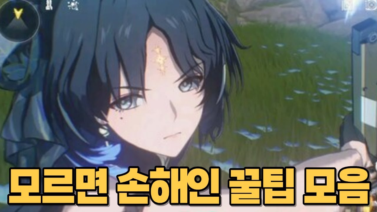 명조 시작했는데.. 뭐부터 해야하나요.. 뭐가 뭔지..