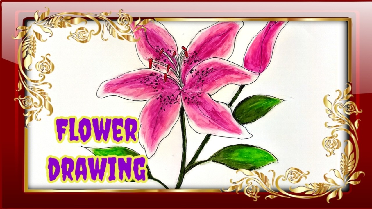 How to draw Flower drawing |Flower Drawing Realistic| Art gallery 14||