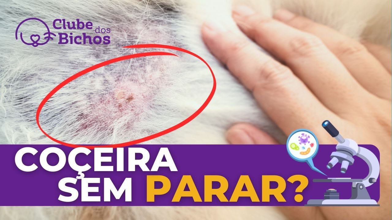 Como investigar a causa da dermatite atopica em cães?