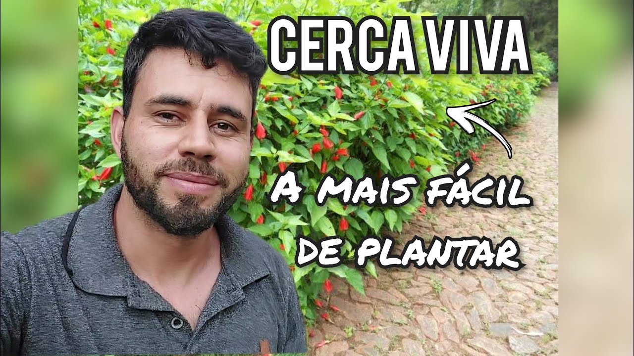 Cerca Viva de Malvavisco [Como plantar]
