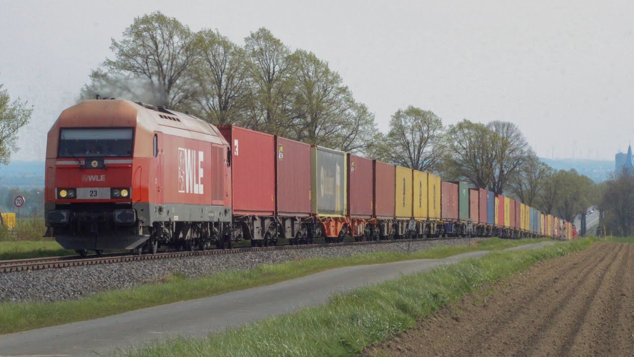 WLE Sichtungen im Mai 2021 Teil 1