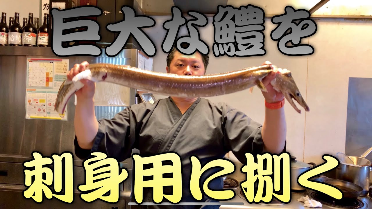 【捌く！】巨大な鱧を刺身用に捌く！