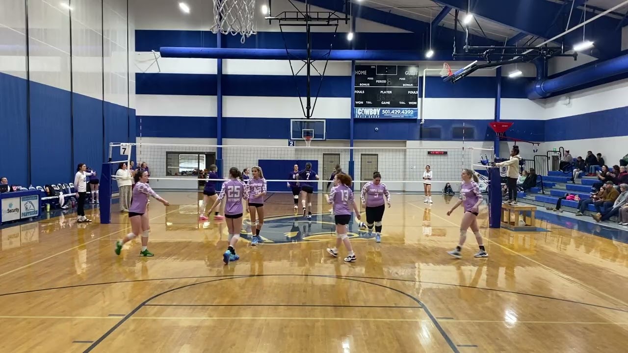 1/31/26 - Purple Cows vs HollenBall Dover