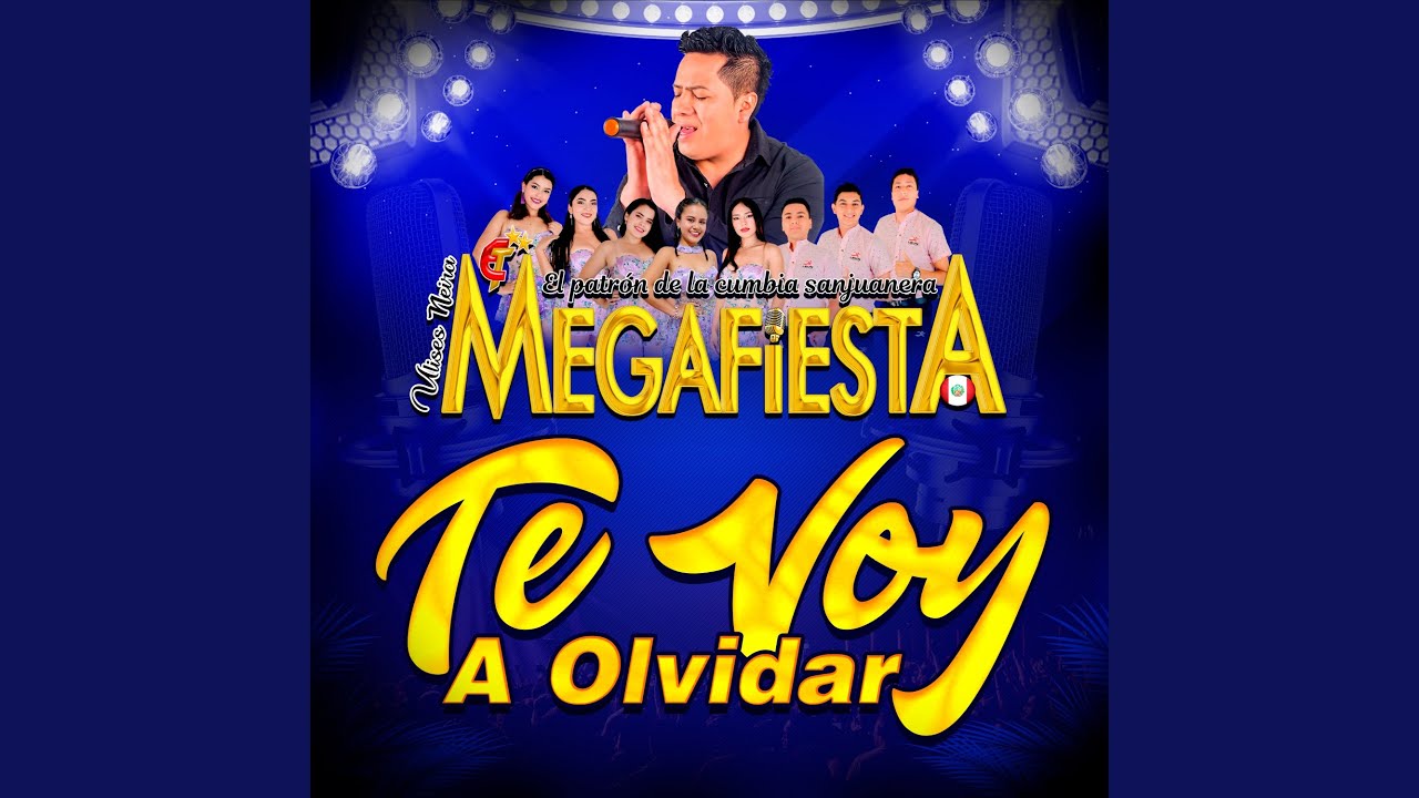 TE VOY A OLVIDAR