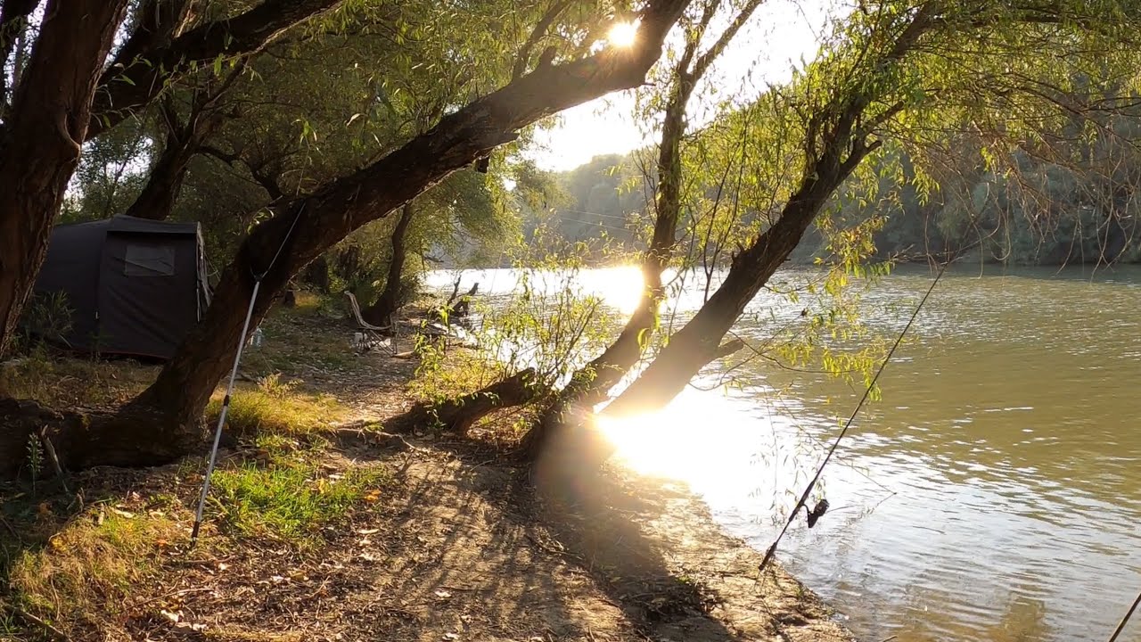 Mirificul canal Tătaru ne-a atras iar 🥰