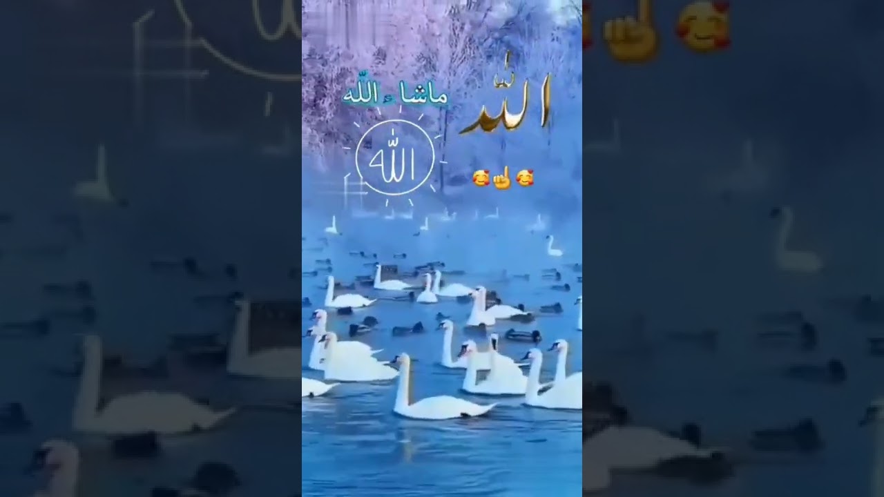 allah ka paigaam#shorts #youtubeshorts #ytshorts #youtube #shortsfeed #viral #shortvideo