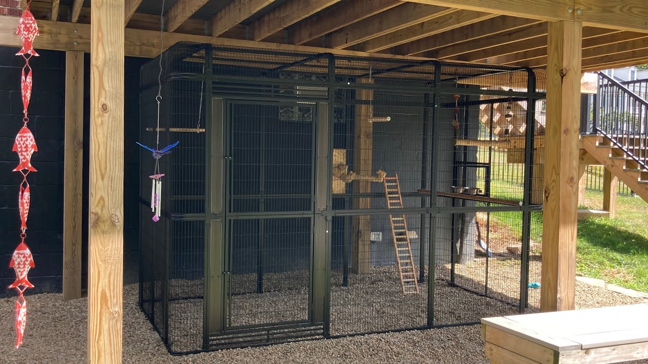Walk in bird cage from Amazon (review and tips)