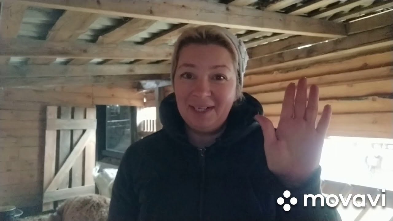 Причины завести козу . Или отказаться он нее.