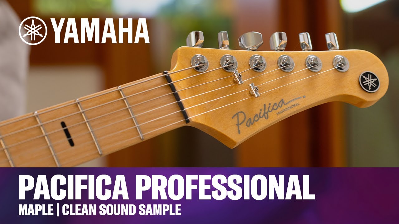 Yamaha I Pacifica Professional I Maple I Clean Sound Samples