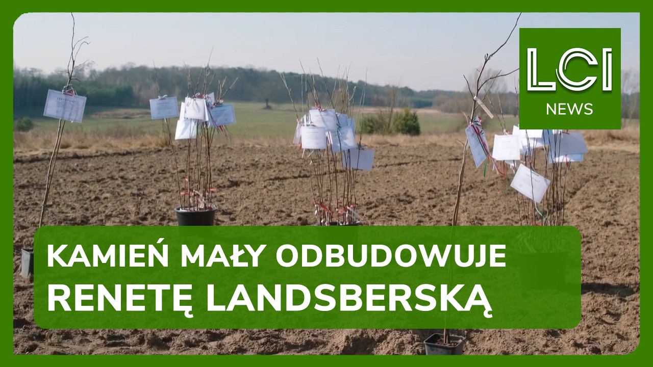 Powrót renety landsberskiej do Lubuskiego 🍎🌱
