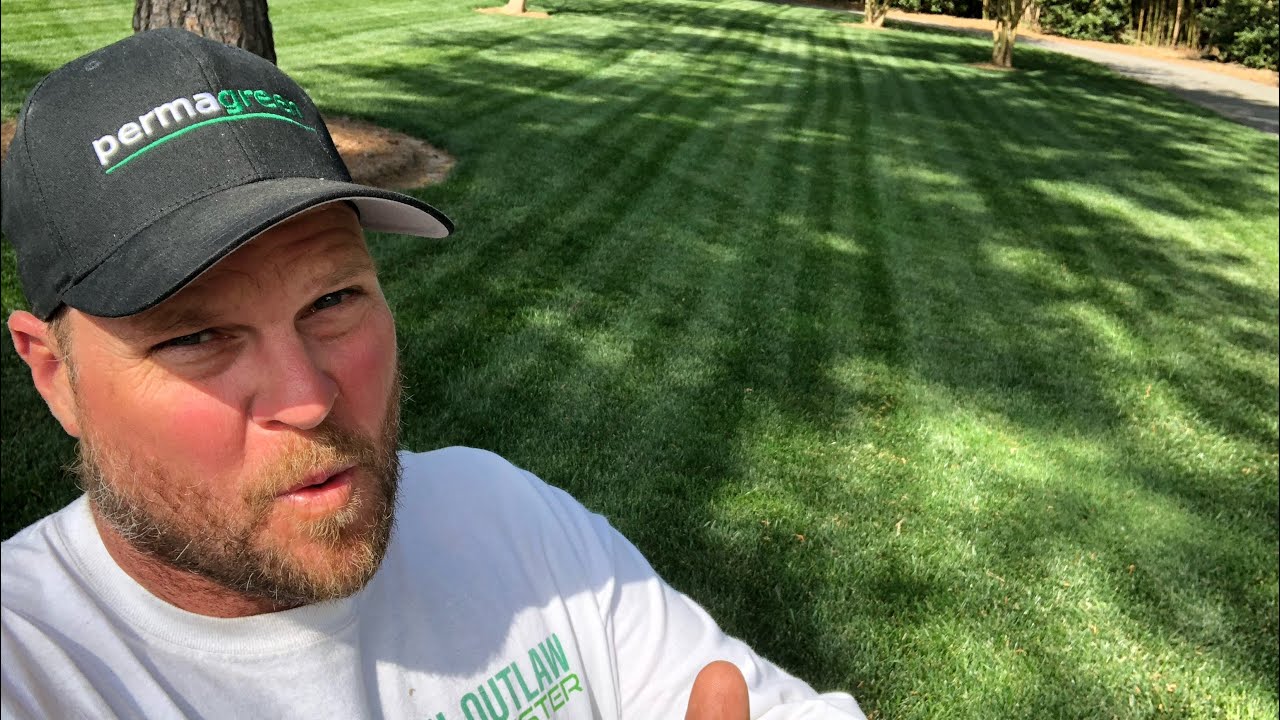 Pre-emergent Herbicide Guide