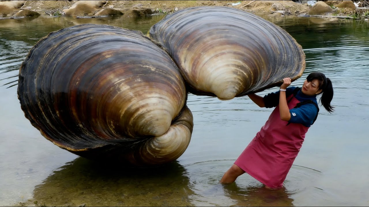 A huge surprise awaits everyone to discover the charm of giant clams and various pearls