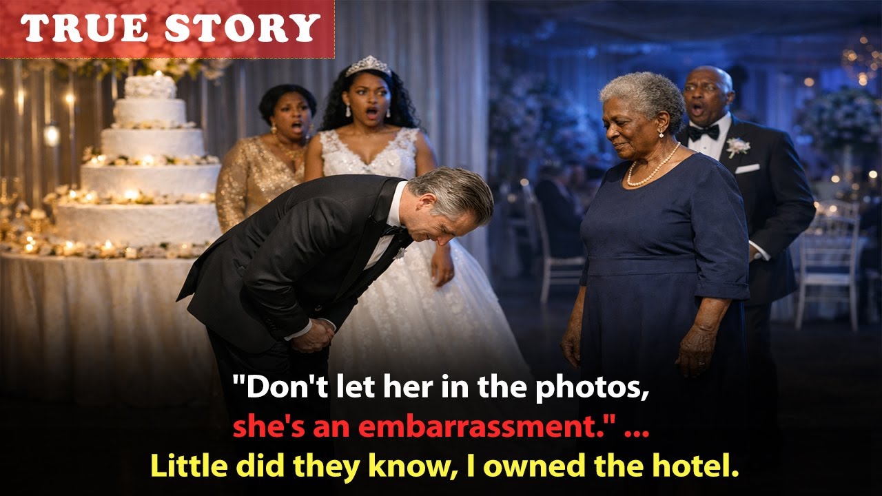 They called me a worthless intruder in a navy dress—until I revealed I owned the land the hotel was