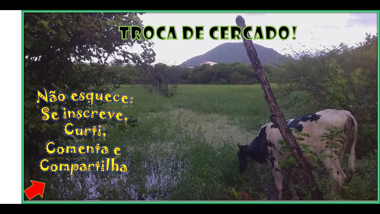 Mudando de cercado, e a cora&ccedil;&atilde;o s&oacute; apronta, kkk