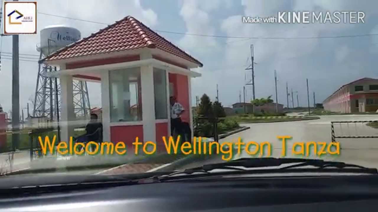 Wellington Tanza